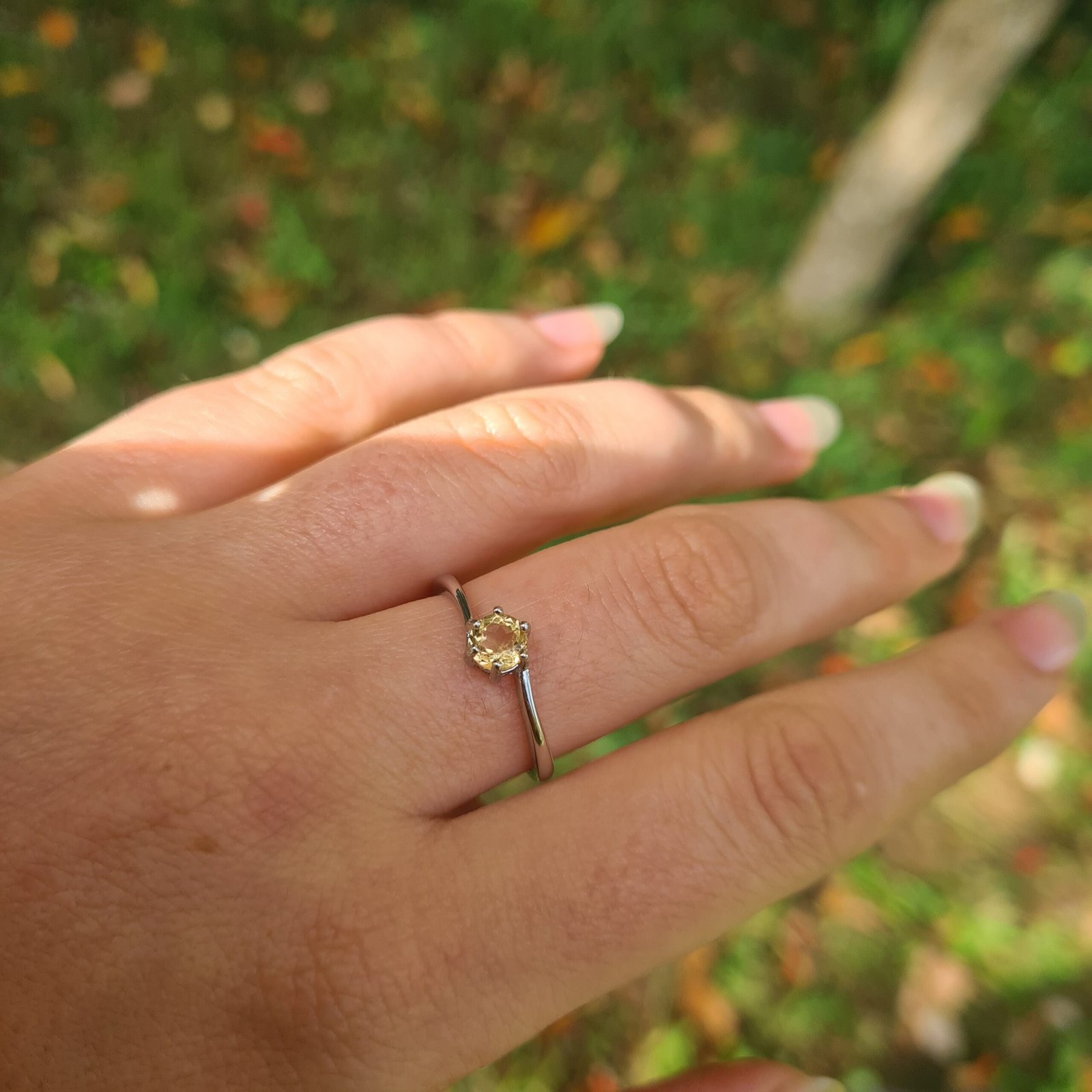 Citrine Ring with autumn leaves background Jemagic citrine ring with autumn leaves background