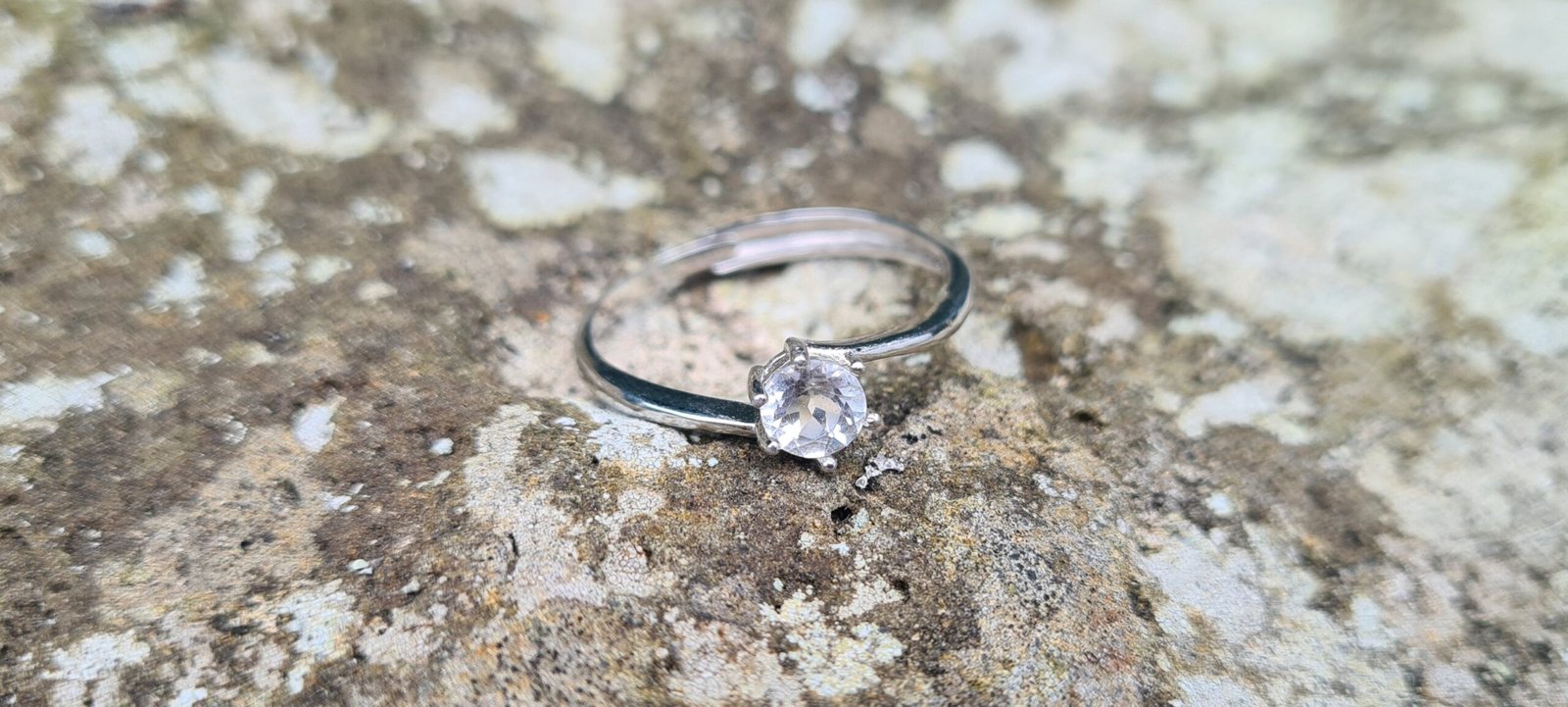 20241220_164132enlarged